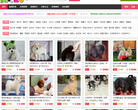 寵物玩具網站-寵物玩具網站網站權重排名
